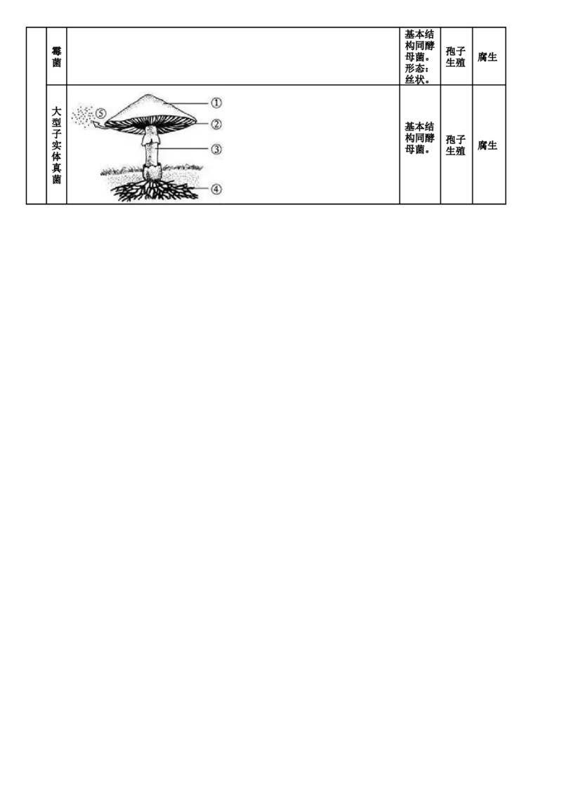 济南版初中生物七上知识点_24秋《初中各科知识点梳理》_初中生物《知识梳理》7-8年级上下册_济南版初中生物7-8年级上下册知识点