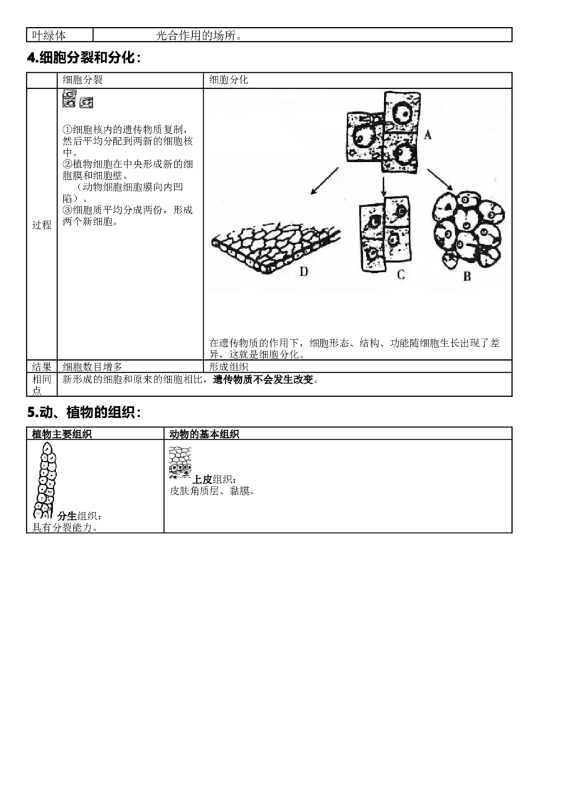 济南版初中生物七上知识点_24秋《初中各科知识点梳理》_初中生物《知识梳理》7-8年级上下册_济南版初中生物7-8年级上下册知识点