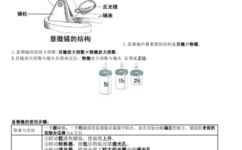 济南版初中生物七上知识点_24秋《初中各科知识点梳理》_初中生物《知识梳理》7-8年级上下册_济南版初中生物7-8年级上下册知识点