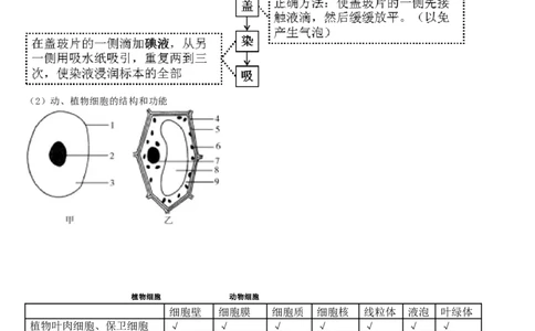济南版初中生物七上知识点_24秋《初中各科知识点梳理》_初中生物《知识梳理》7-8年级上下册_济南版初中生物7-8年级上下册知识点