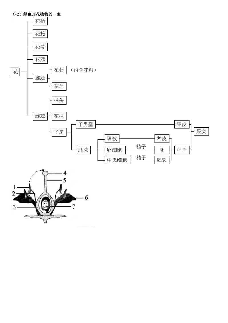 济南版初中生物八上知识点_24秋《初中各科知识点梳理》_初中生物《知识梳理》7-8年级上下册_济南版初中生物7-8年级上下册知识点
