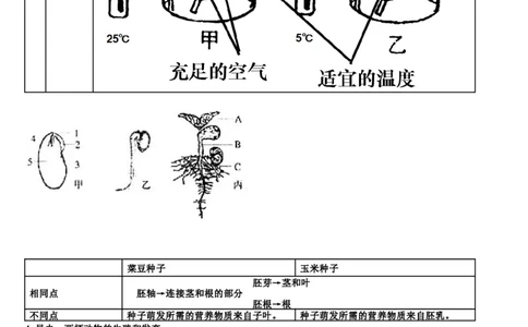 济南版初中生物八上知识点_24秋《初中各科知识点梳理》_初中生物《知识梳理》7-8年级上下册_济南版初中生物7-8年级上下册知识点