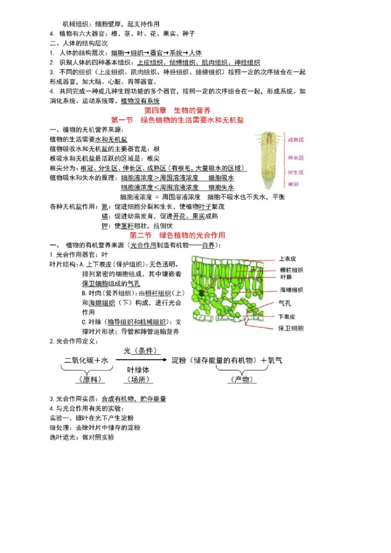 北京版初中生物七上知识点_24秋《初中各科知识点梳理》_初中生物《知识梳理》7-8年级上下册_北京版初中生物7-8年级上下册知识点