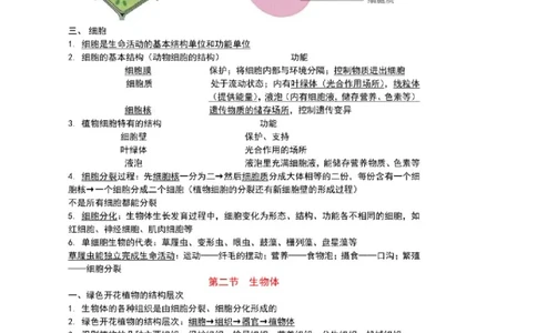 北京版初中生物七上知识点_24秋《初中各科知识点梳理》_初中生物《知识梳理》7-8年级上下册_北京版初中生物7-8年级上下册知识点