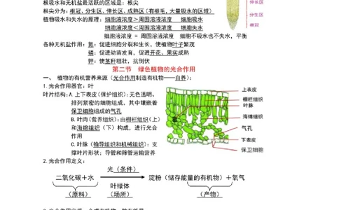 北京版初中生物七上知识点_24秋《初中各科知识点梳理》_初中生物《知识梳理》7-8年级上下册_北京版初中生物7-8年级上下册知识点