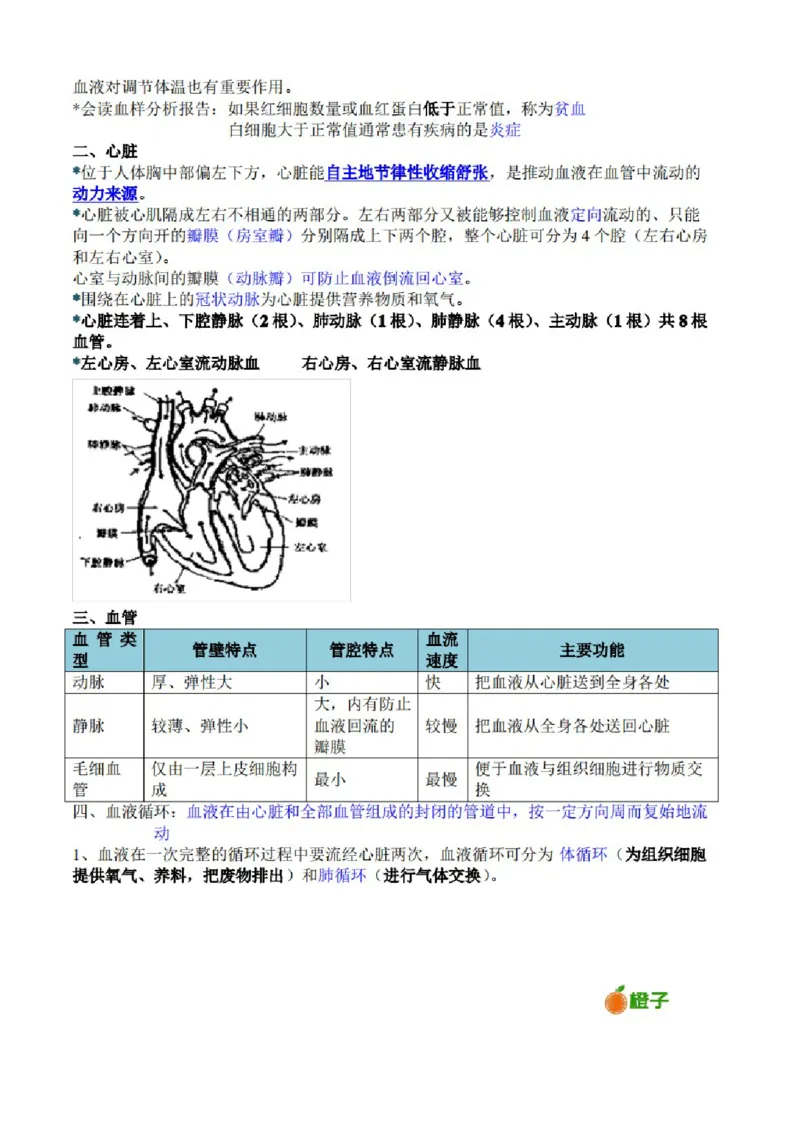 浙教版初中科学九年级上册知识点_24秋《初中各科知识点梳理》_初中科学《知识梳理》7-9年级上下册_浙教版初中科学7-9年级上下册知识梳理