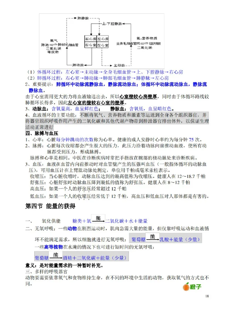 浙教版初中科学九年级上册知识点_24秋《初中各科知识点梳理》_初中科学《知识梳理》7-9年级上下册_浙教版初中科学7-9年级上下册知识梳理