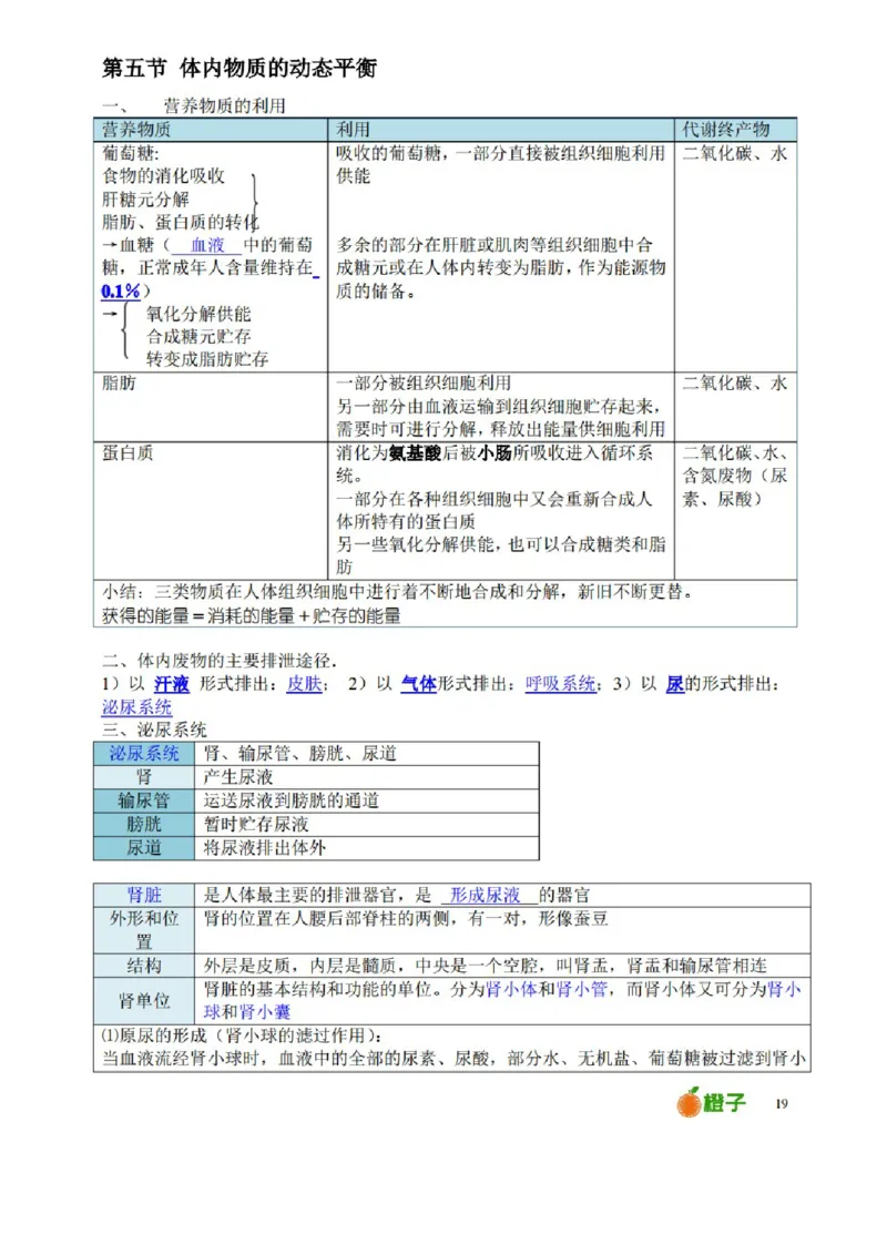 浙教版初中科学九年级上册知识点_24秋《初中各科知识点梳理》_初中科学《知识梳理》7-9年级上下册_浙教版初中科学7-9年级上下册知识梳理