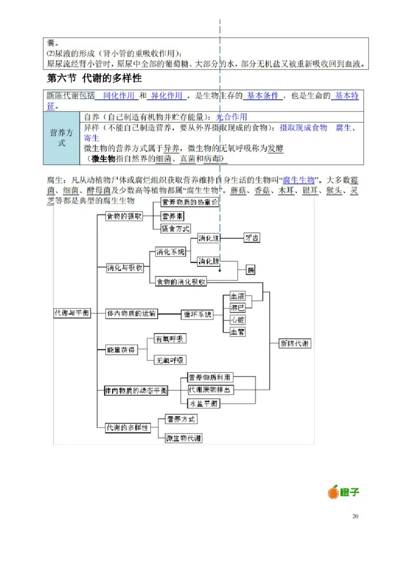 浙教版初中科学九年级上册知识点_24秋《初中各科知识点梳理》_初中科学《知识梳理》7-9年级上下册_浙教版初中科学7-9年级上下册知识梳理