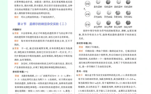 高中生物必修第2册参考答案_高中全套电子教材及答案。_02高中教材参考答案_高中生物_人教版