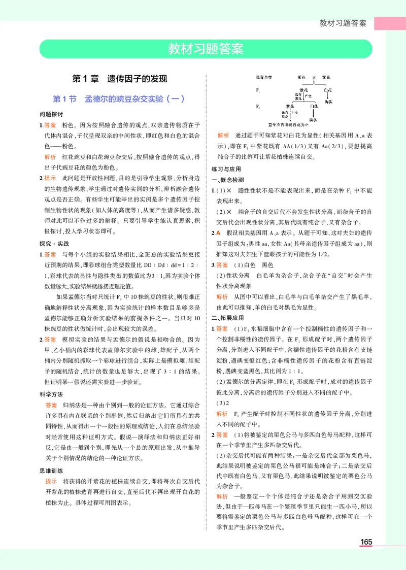 高中生物必修第2册参考答案_高中全套电子教材及答案。_02高中教材参考答案_高中生物_人教版
