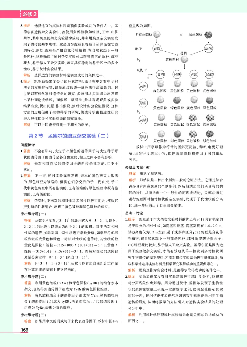 高中生物必修第2册参考答案_高中全套电子教材及答案。_02高中教材参考答案_高中生物_人教版