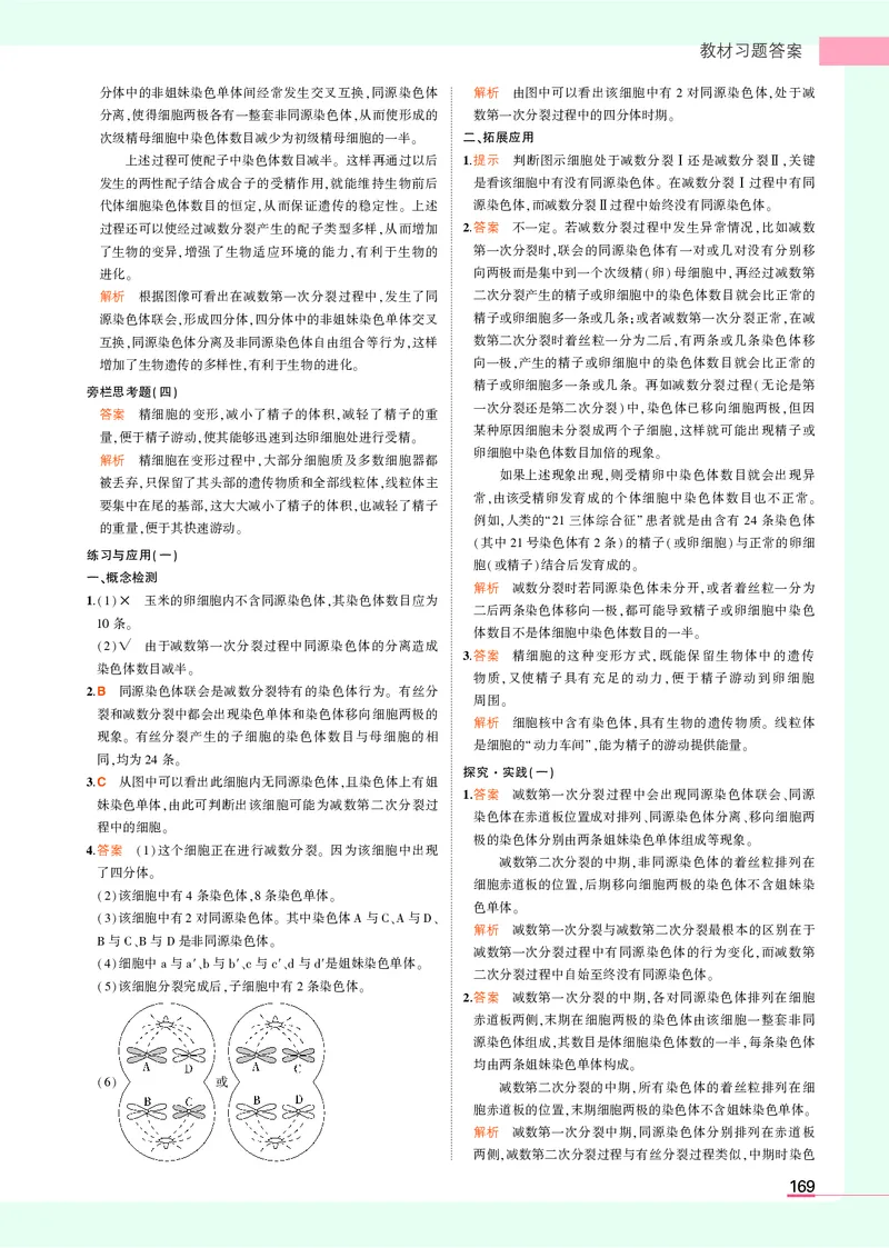 高中生物必修第2册参考答案_高中全套电子教材及答案。_02高中教材参考答案_高中生物_人教版