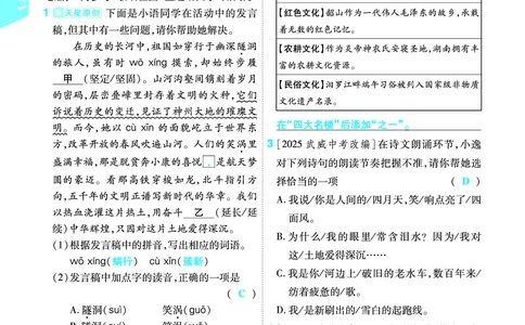 2026《初中语文&bull;一遍过》9年级下册答案_2026春《初中一遍过》系列_2026《天星教育&bull;一遍过》（9年级下册）（语文）（RJ）