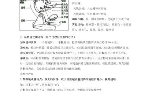 冀少版初中生物七年级上册知识梳理_24秋《初中各科知识点梳理》_初中生物《知识梳理》7-8年级上下册_冀少版初中生物7-8年级上下册知识点