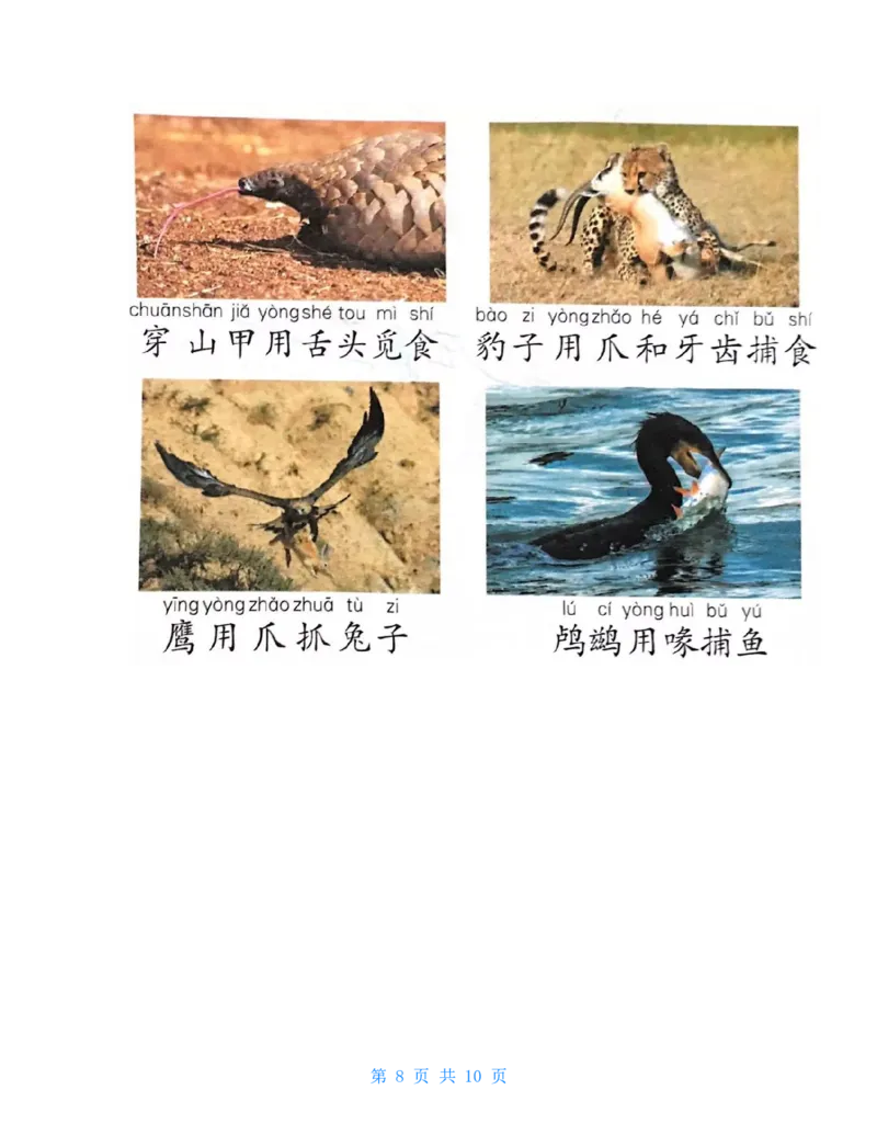 大象版二年级科学上册知识点总结(期末复习资料)_《小学各科知识点》_小学科学《知识梳理》1-6年级上下册_大象版小学科学1-6年级上下册知识梳理_上册