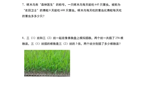 第二单元专项练习11：除法应用综合&ldquo;拓展版&rdquo;-（学生版）人教版_26春人教版数学三下_00、更新资料3月18日_解决问题专项练习-T7(1)_2025版