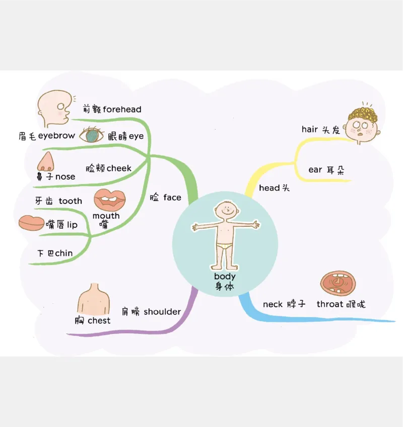 小学英语思维导图(1)_《小学思维导图》_思维导图语数英第二套_英语_小学英语思维导图