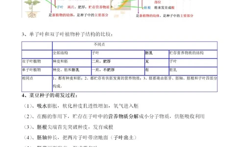 冀少版初中生物八年级上册知识梳理_24秋《初中各科知识点梳理》_初中生物《知识梳理》7-8年级上下册_冀少版初中生物7-8年级上下册知识点