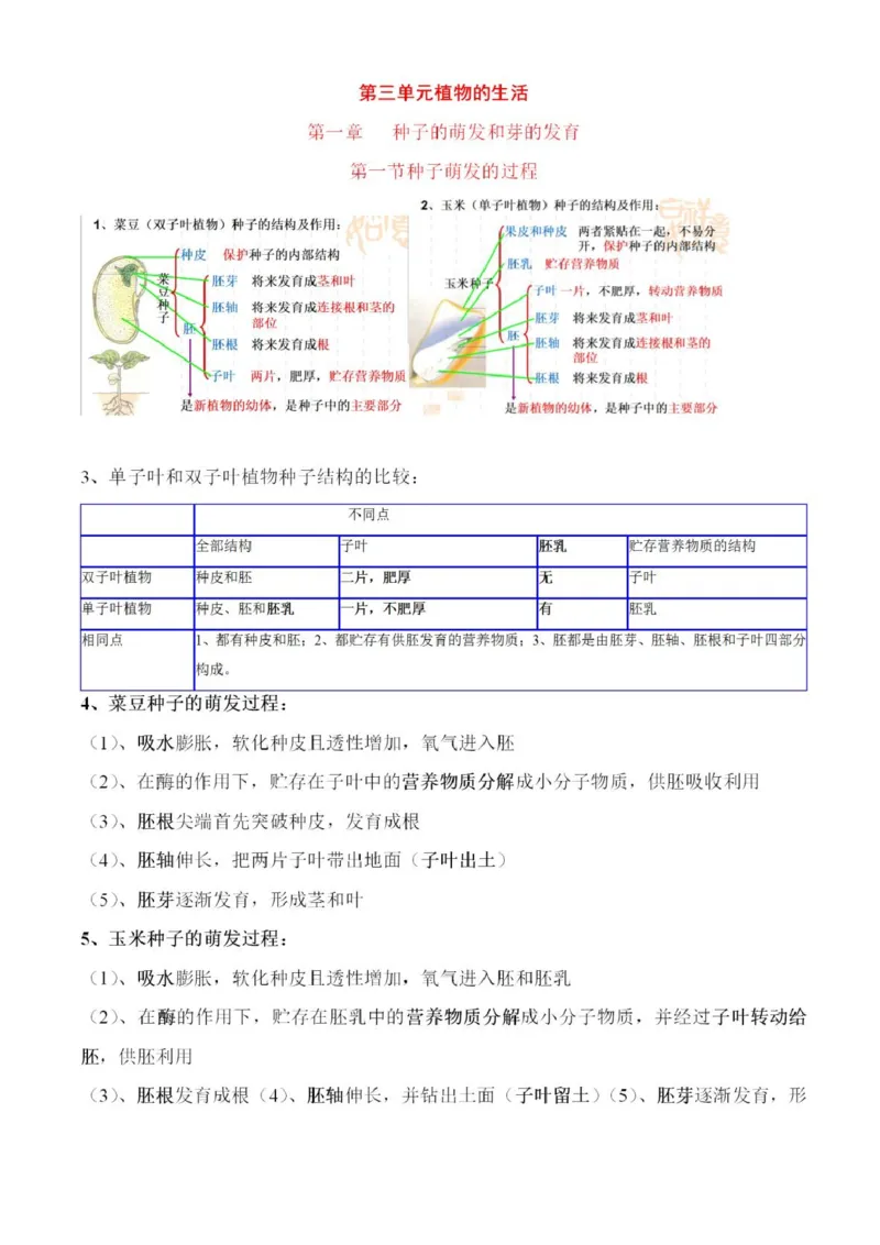 冀少版初中生物八年级上册知识梳理_24秋《初中各科知识点梳理》_初中生物《知识梳理》7-8年级上下册_冀少版初中生物7-8年级上下册知识点