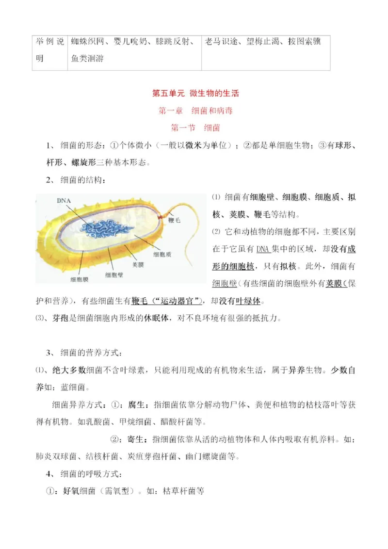 冀少版初中生物八年级上册知识梳理_24秋《初中各科知识点梳理》_初中生物《知识梳理》7-8年级上下册_冀少版初中生物7-8年级上下册知识点