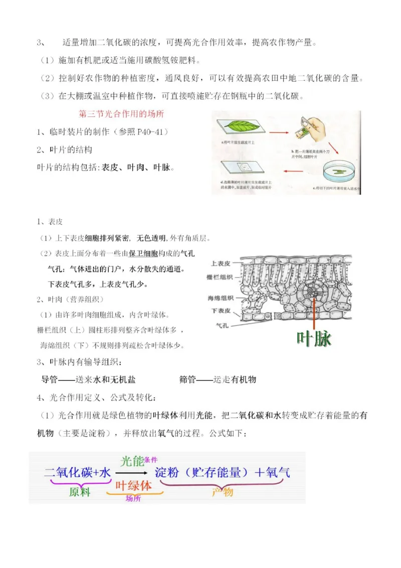 冀少版初中生物八年级上册知识梳理_24秋《初中各科知识点梳理》_初中生物《知识梳理》7-8年级上下册_冀少版初中生物7-8年级上下册知识点