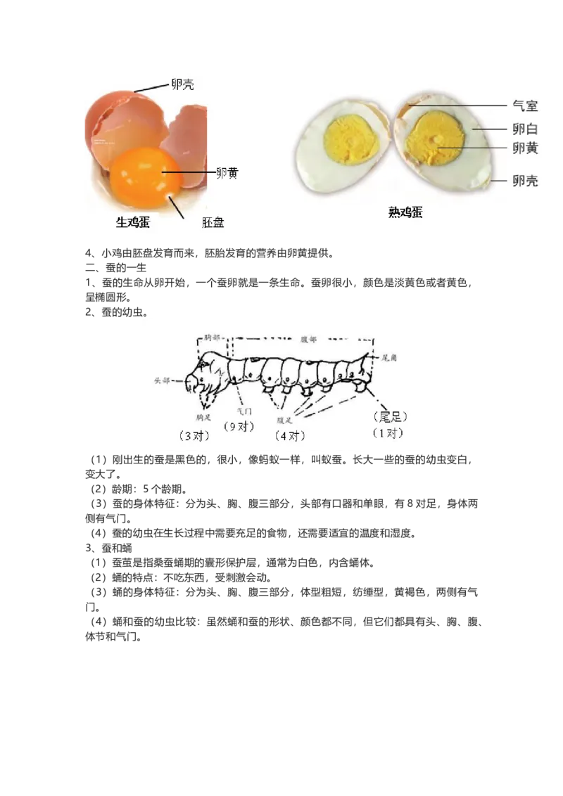 教科版三下科学知识点归纳_《小学各科知识点》_小学科学《知识梳理》1-6年级上下册_教科版小学科学1-6年级上下册知识梳理_下册