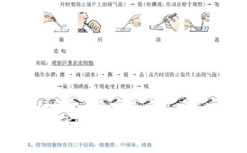 北师大版初中生物七上知识梳理_24秋《初中各科知识点梳理》_初中生物《知识梳理》7-8年级上下册_北师大版初中生物7-8年级上下册知识点