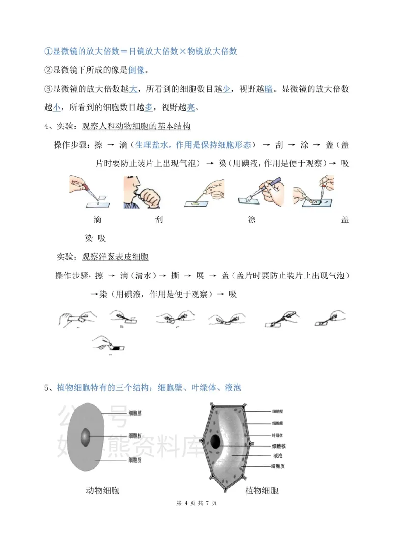 北师大版初中生物七上知识梳理_24秋《初中各科知识点梳理》_初中生物《知识梳理》7-8年级上下册_北师大版初中生物7-8年级上下册知识点