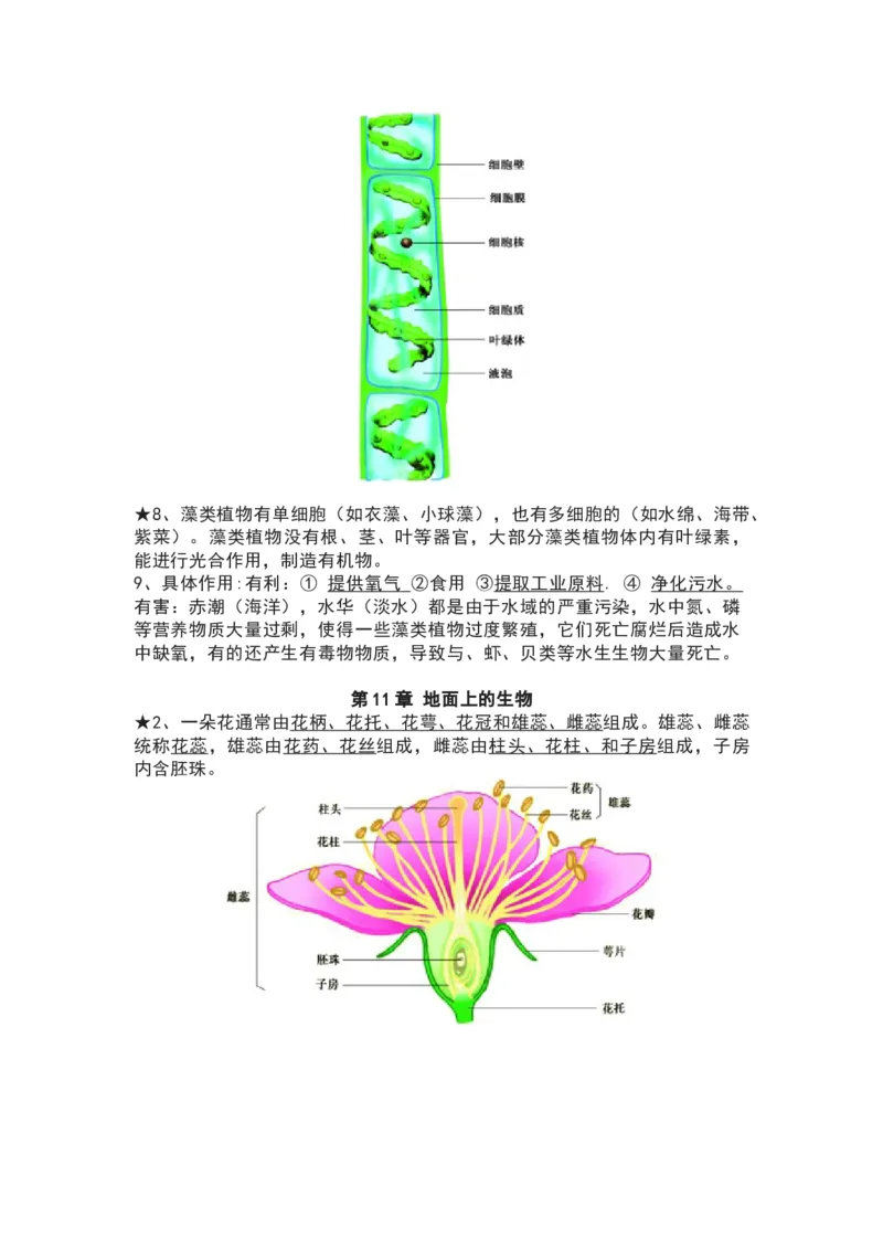 苏科版七年级生物下册知识点_24秋《初中各科知识点梳理》_初中生物《知识梳理》7-8年级上下册_苏科版初中生物7-8年级上下册知识点