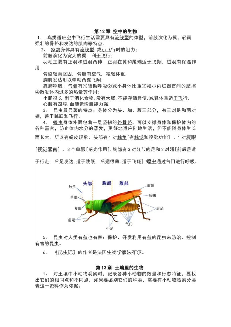 苏科版七年级生物下册知识点_24秋《初中各科知识点梳理》_初中生物《知识梳理》7-8年级上下册_苏科版初中生物7-8年级上下册知识点