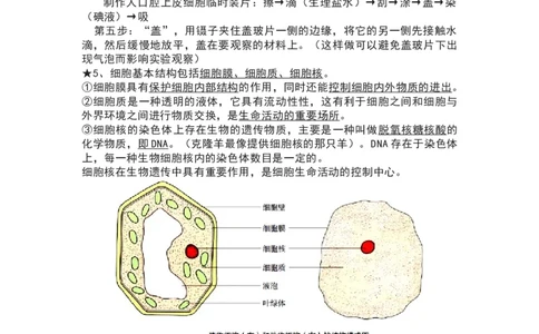 苏科版七年级生物下册知识点_24秋《初中各科知识点梳理》_初中生物《知识梳理》7-8年级上下册_苏科版初中生物7-8年级上下册知识点