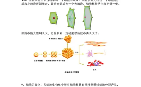 苏科版七年级生物下册知识点_24秋《初中各科知识点梳理》_初中生物《知识梳理》7-8年级上下册_苏科版初中生物7-8年级上下册知识点