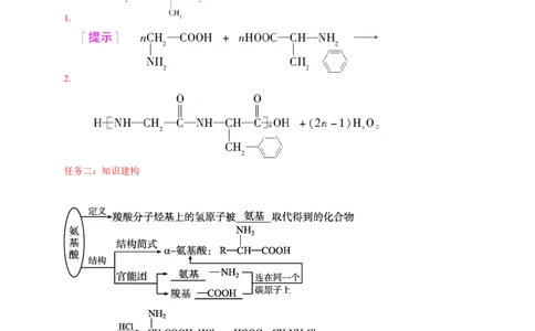 4.2.1氨基酸-学案-2020-2021学年下学期高二化学同步精品课堂(新教材人教版选择性必修3)（解析版）_高化_2025春-人教版高中化学_05新版高中化学选择性必修3_1.课件+教案+学案+习题_学案