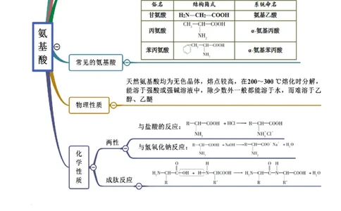 7.4基本营养物质（精讲）-（人教版2019必修第二册）（原卷版）_高化_595801221724高中化学新人教版选择性必修一二三电子版教案PPT课件高中试卷_必修二册（人教版）_专项练习