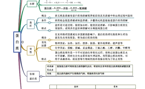 7.4基本营养物质（精讲）-（人教版2019必修第二册）（原卷版）_高化_595801221724高中化学新人教版选择性必修一二三电子版教案PPT课件高中试卷_必修二册（人教版）_专项练习