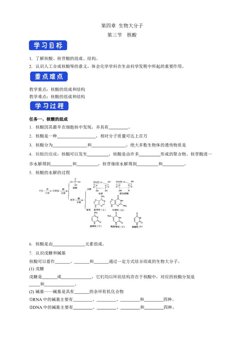 4.3核酸-学案-2020-2021学年下学期高二化学同步精品课堂(新教材人教版选择性必修3)（原卷版）_高化_2025春-人教版高中化学_05新版高中化学选择性必修3_1.课件+教案+学案+习题_学案