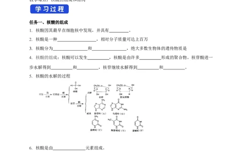 4.3核酸-学案-2020-2021学年下学期高二化学同步精品课堂(新教材人教版选择性必修3)（原卷版）_高化_2025春-人教版高中化学_05新版高中化学选择性必修3_1.课件+教案+学案+习题_学案