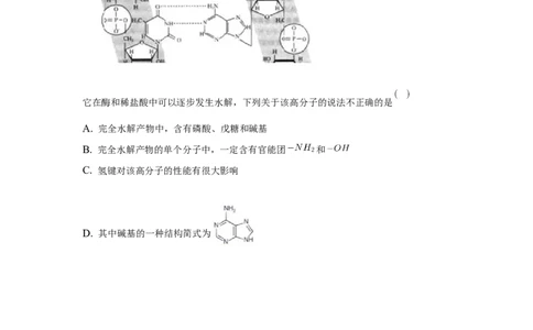 4.3核酸-学案-2020-2021学年下学期高二化学同步精品课堂(新教材人教版选择性必修3)（原卷版）_高化_2025春-人教版高中化学_05新版高中化学选择性必修3_1.课件+教案+学案+习题_学案