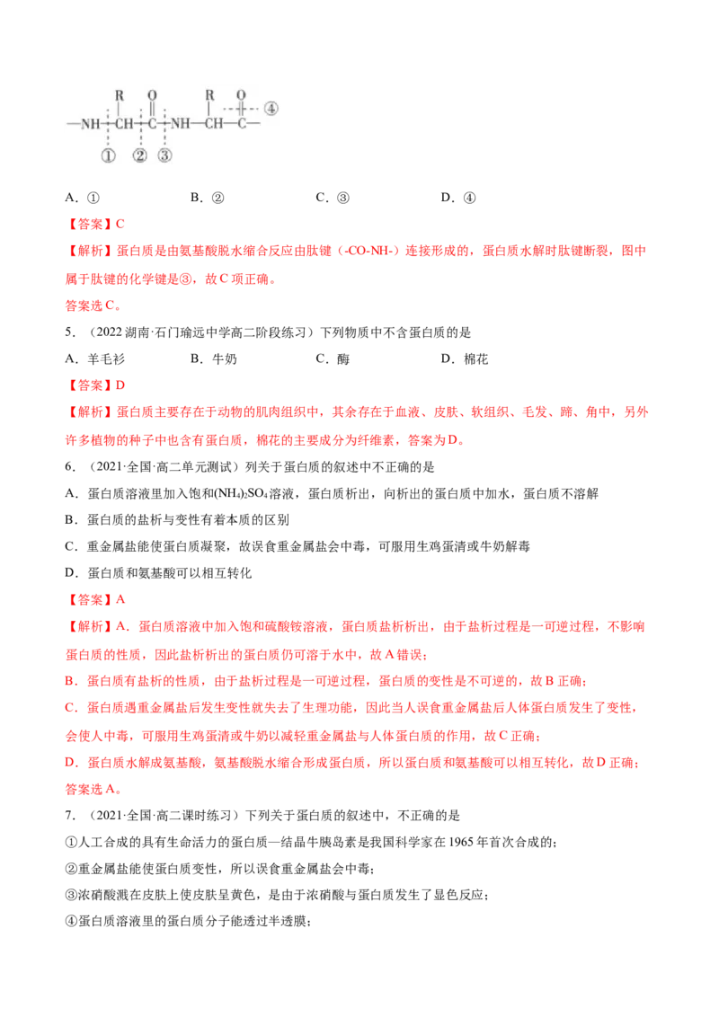 4.2蛋白质（精练）（人教版2019选择性必修3）（解析版）_高化_595801221724高中化学新人教版选择性必修一二三电子版教案PPT课件高中试卷_选择性必修3册（人教版）_专项练习