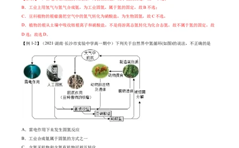 5.2.1氮气与氮的固定（精讲）-（人教版2019必修第二册）（解析版）_高化_595801221724高中化学新人教版选择性必修一二三电子版教案PPT课件高中试卷_必修二册（人教版）_专项练习