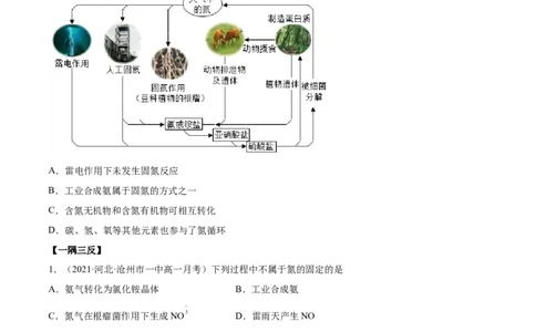 5.2.1氮气与氮的固定（精讲）-（人教版2019必修第二册）(原卷版）_高化_595801221724高中化学新人教版选择性必修一二三电子版教案PPT课件高中试卷_必修二册（人教版）_专项练习