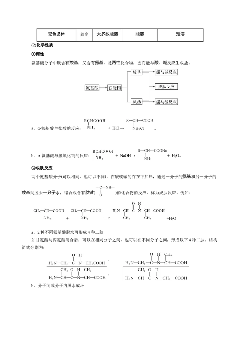 4.2蛋白质（解析版）-人教版2019选择性必修3）_高化_595801221724高中化学新人教版选择性必修一二三电子版教案PPT课件高中试卷_选择性必修3册（人教版）_讲义