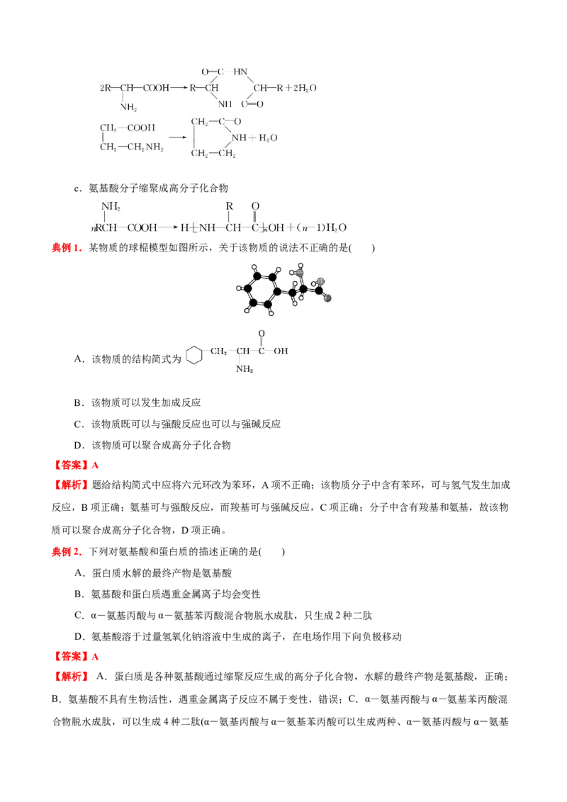 4.2蛋白质（解析版）-人教版2019选择性必修3）_高化_595801221724高中化学新人教版选择性必修一二三电子版教案PPT课件高中试卷_选择性必修3册（人教版）_讲义