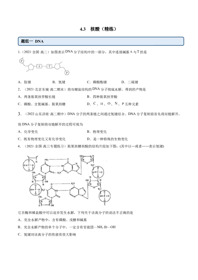 4.3核酸（精练）（人教版2019选择性必修3）(原卷版）_高化_595801221724高中化学新人教版选择性必修一二三电子版教案PPT课件高中试卷_选择性必修3册（人教版）_专项练习