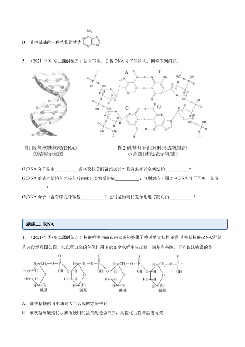 4.3核酸（精练）（人教版2019选择性必修3）(原卷版）_高化_595801221724高中化学新人教版选择性必修一二三电子版教案PPT课件高中试卷_选择性必修3册（人教版）_专项练习