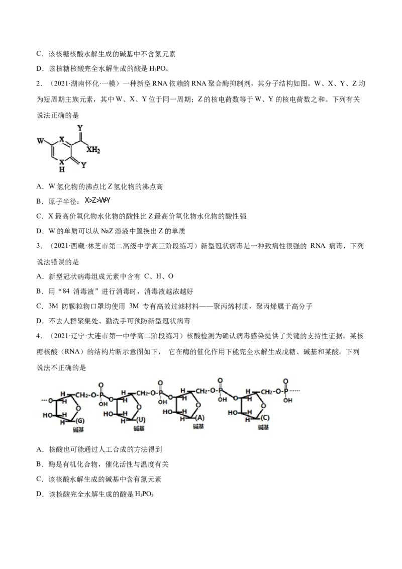 4.3核酸（精练）（人教版2019选择性必修3）(原卷版）_高化_595801221724高中化学新人教版选择性必修一二三电子版教案PPT课件高中试卷_选择性必修3册（人教版）_专项练习