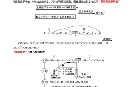 3.4羧酸羧酸衍生物（解析版）-人教版2019选择性必修3）_高化_595801221724高中化学新人教版选择性必修一二三电子版教案PPT课件高中试卷_选择性必修3册（人教版）_讲义