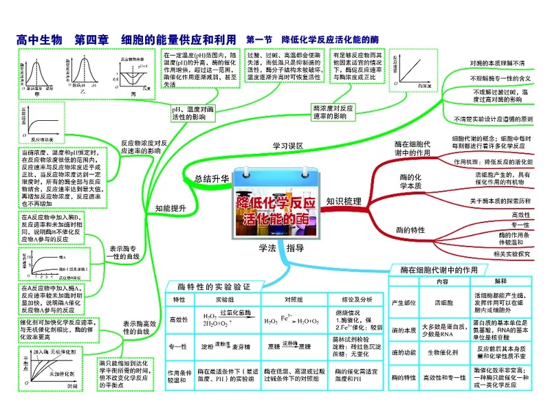 高中生物-思维导图_《高中思维导图》