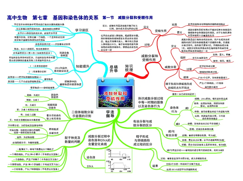 高中生物-思维导图_《高中思维导图》